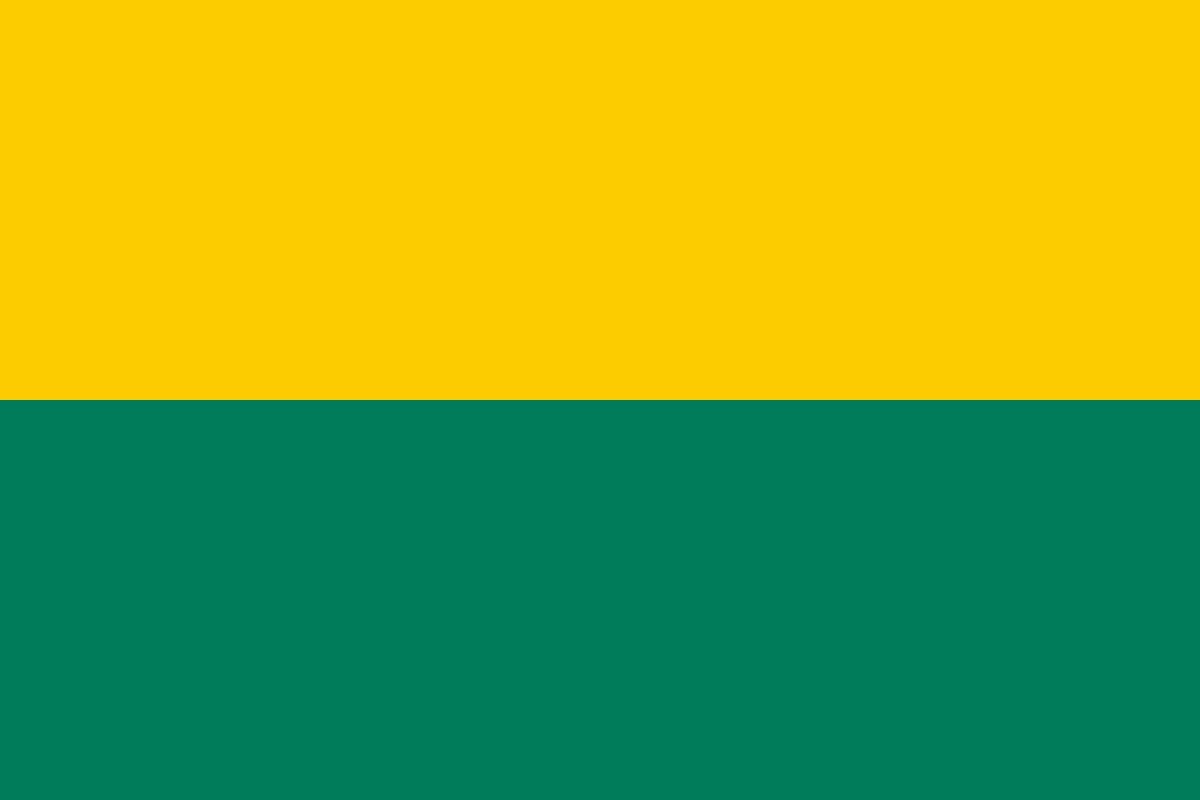 Den Haag vlag